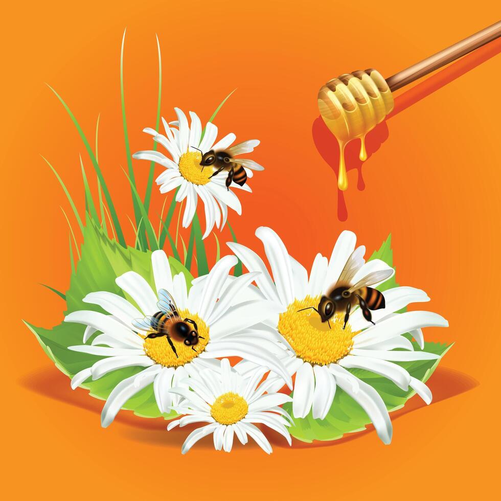 A Bee The dipper scooped the honey dripping illustration vector