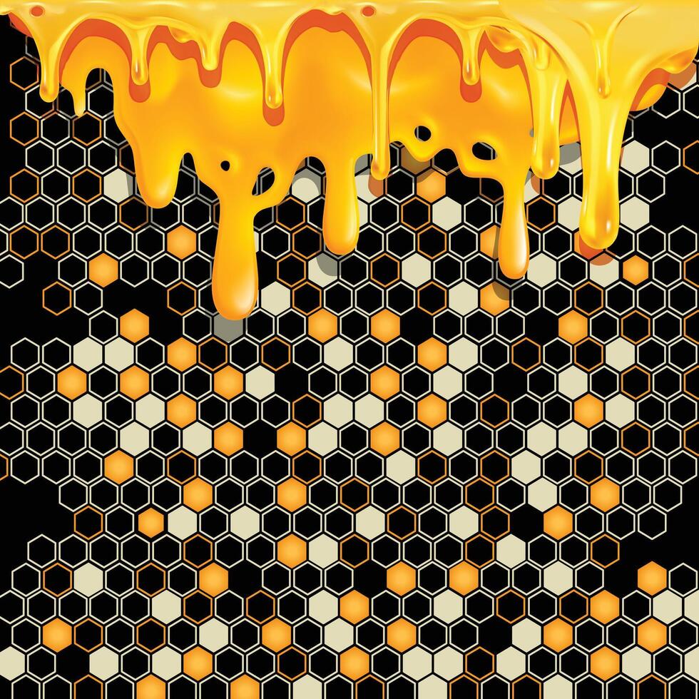 honey with comb illustration vector