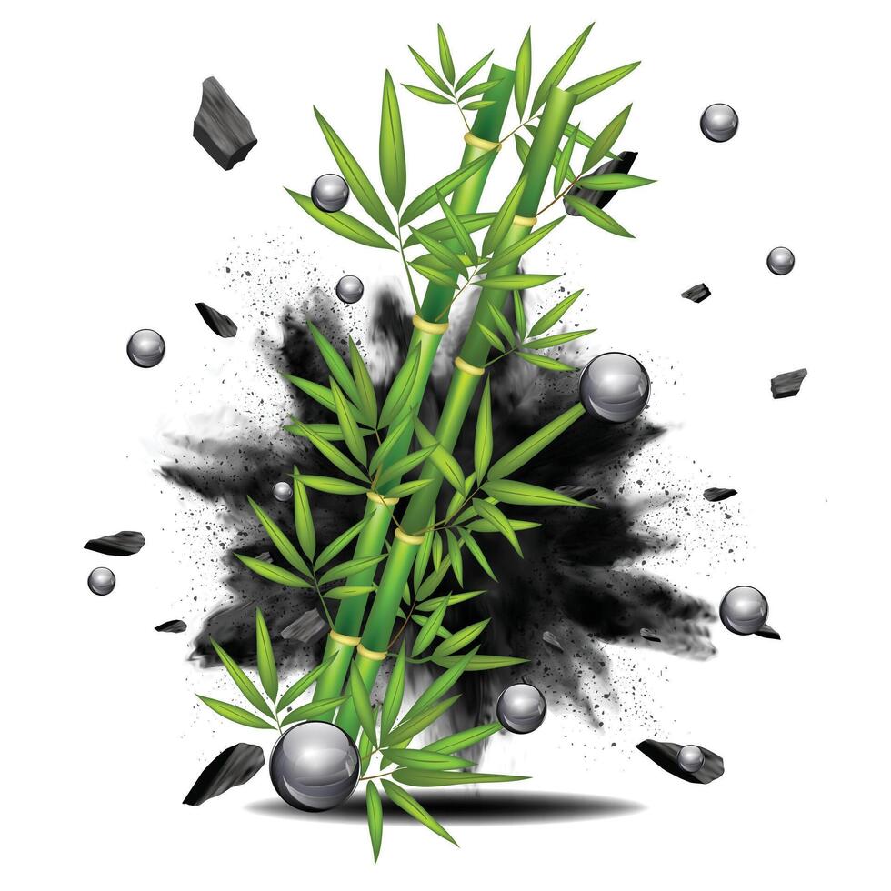 Green Bamboo Charcoal splash bottle vector
