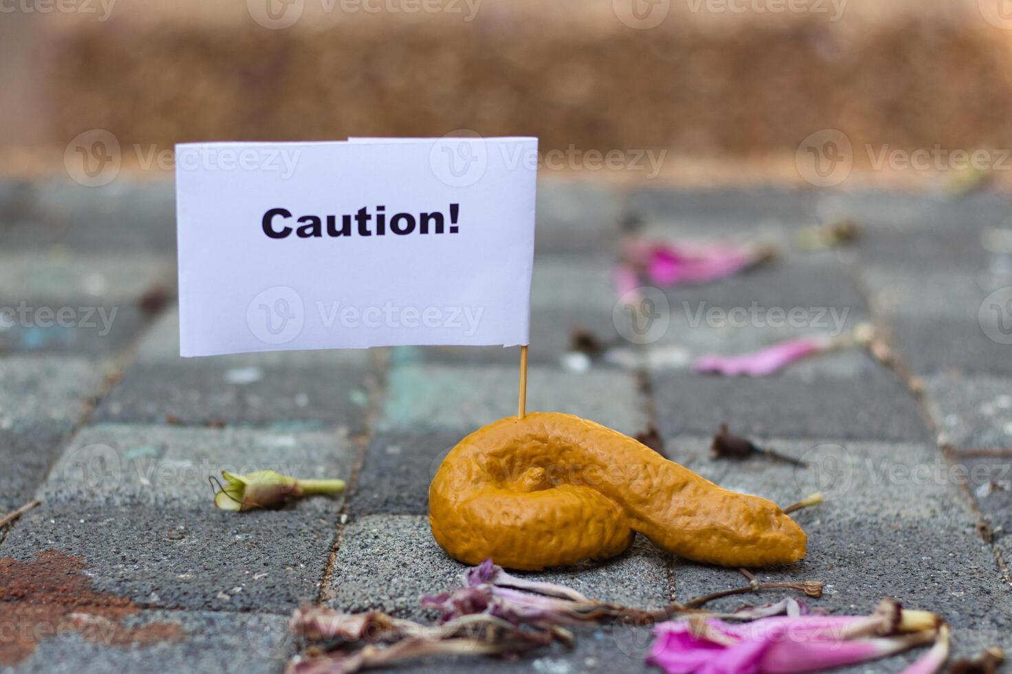 Dog feces lying on the ground after their owner didn't pick it up. photo
