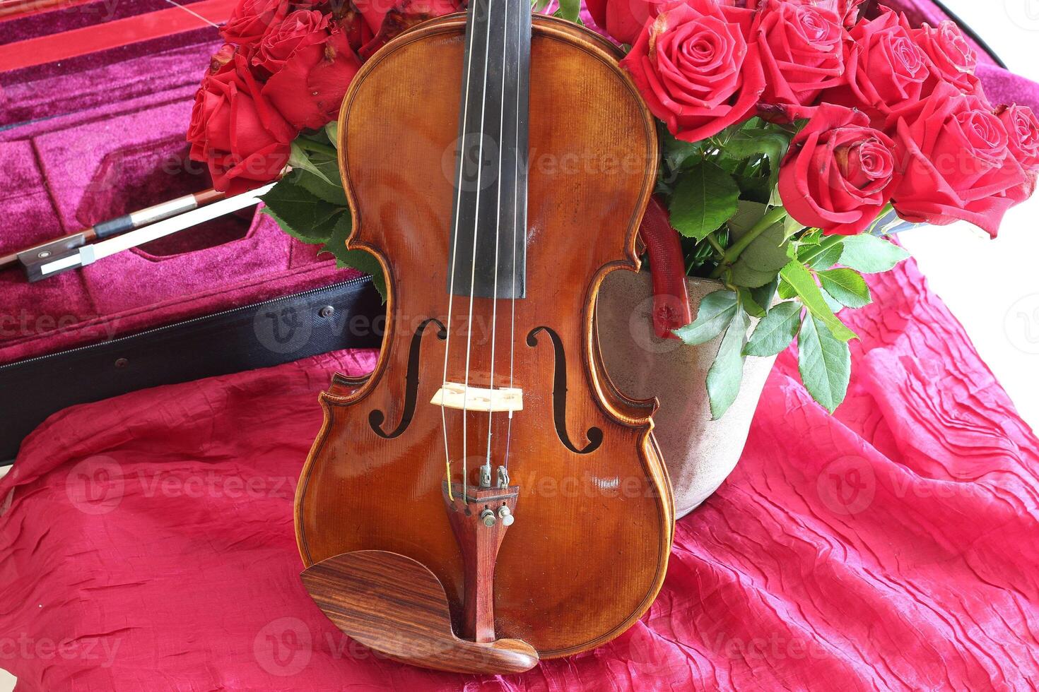 Violin, bows and roses on a red background. photo