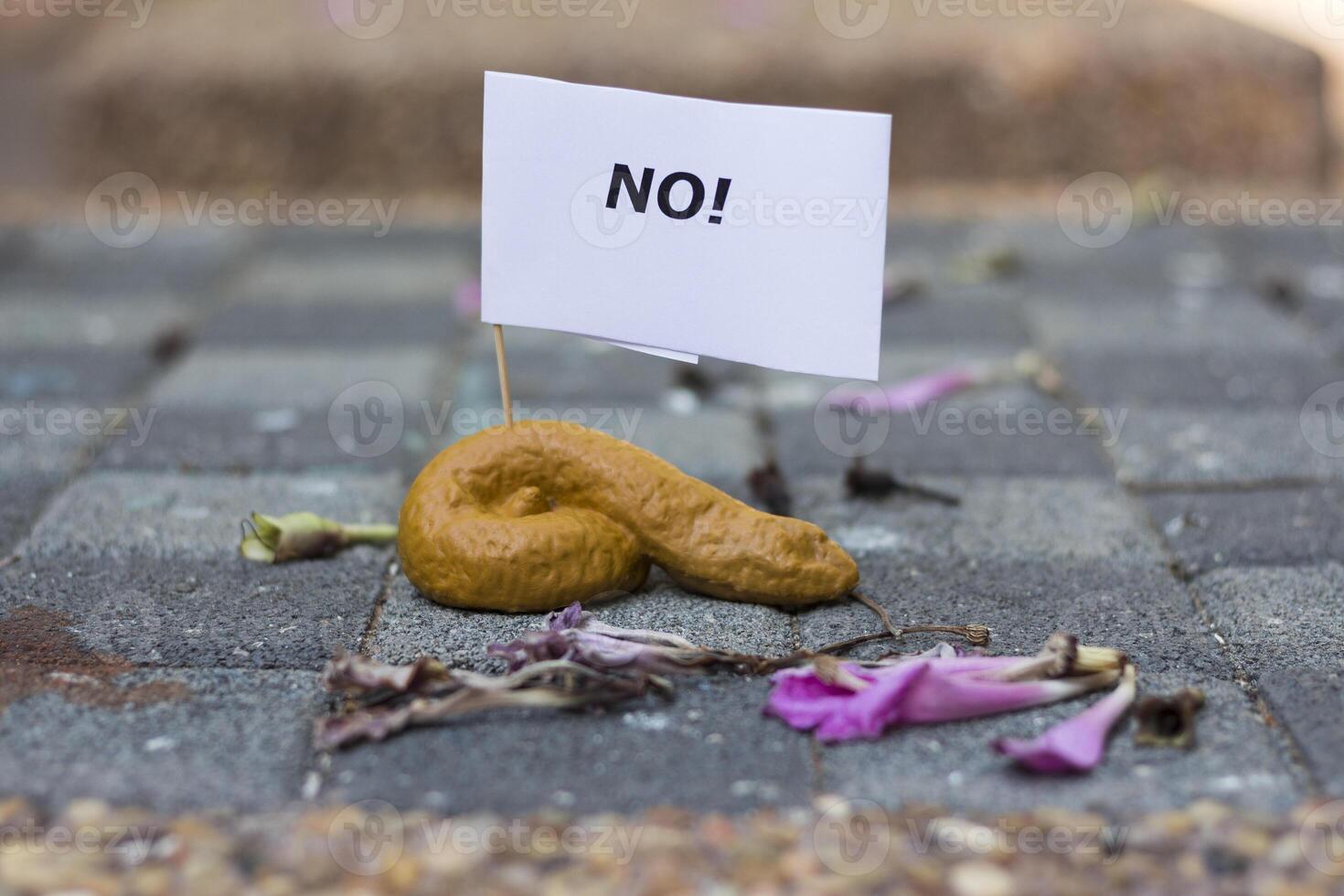 Dog feces lying on the ground after their owner didn't pick it up. photo