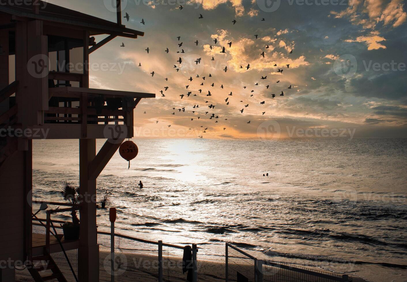 Scenic View, Flock of birds over the sea after sunset. photo