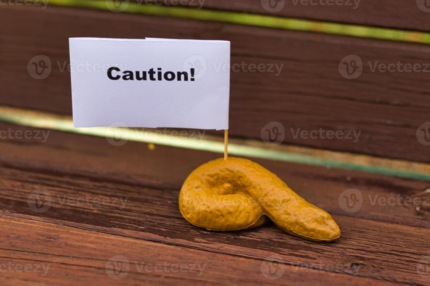 Dog feces lying on the ground after their owner didn't pick it up. photo