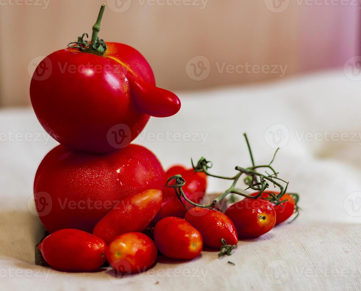 Tomato Family. Funny tomato with a nose-like process and small cherry tomatoes. photo
