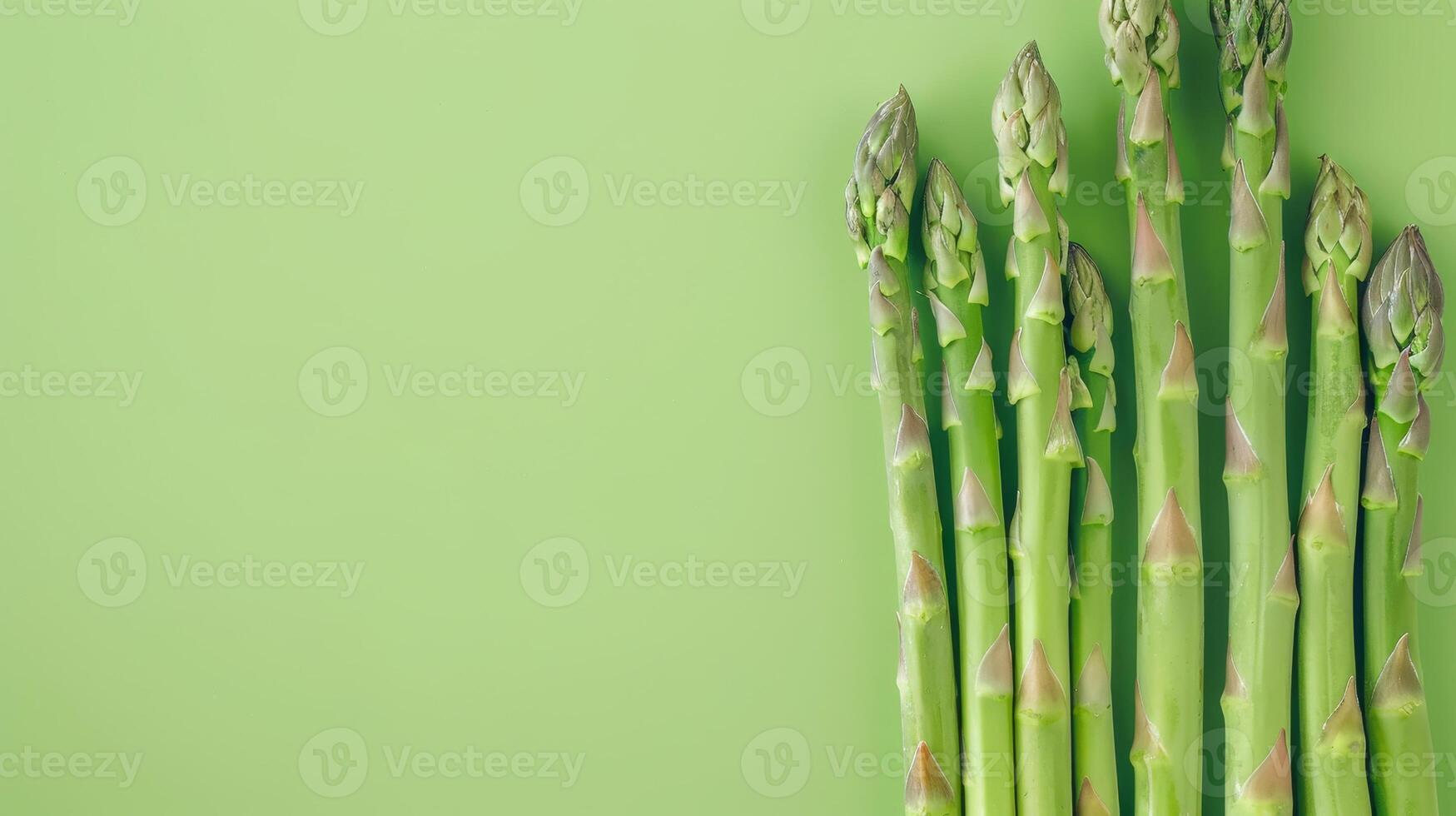 Copy space flat lay asparagus vegetable sprout isolated green photo