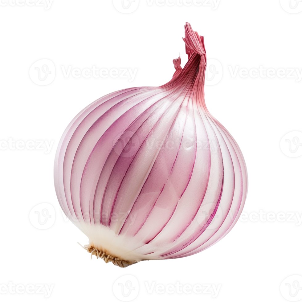 Half Peeled Red Onion Isolated on Transparent Background png
