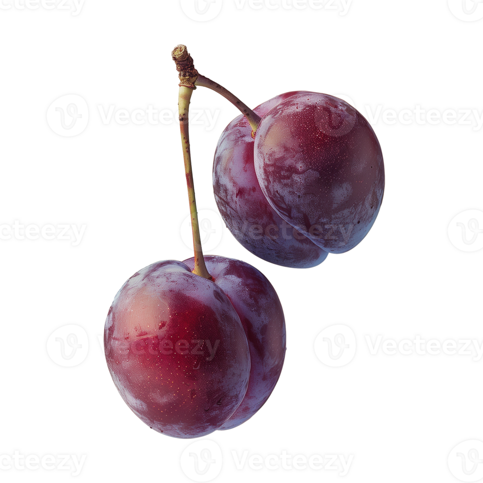 Close-Up of Two Fresh French Plums on Transparent Background png