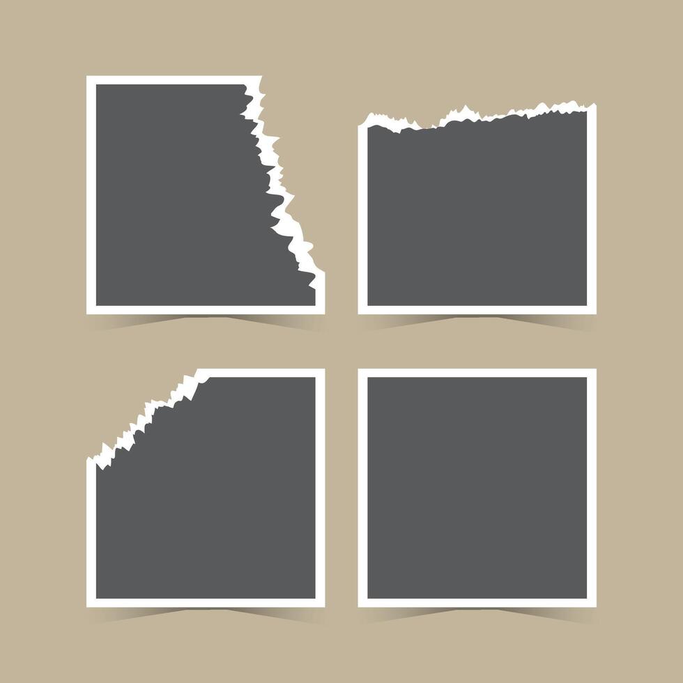 collage photo frame template for photographs presentation vector