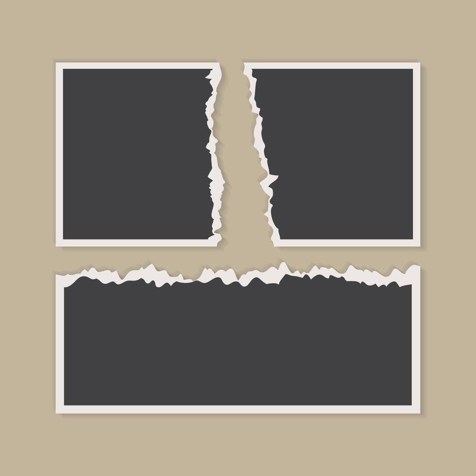 collage photo frame template for photographs presentation vector