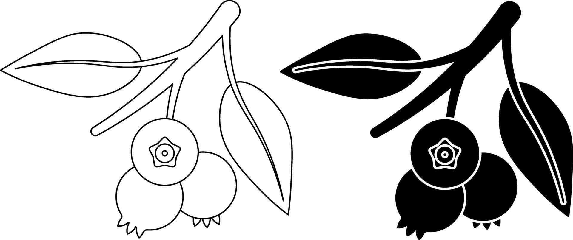 outline silhouette blueberry fruit icon set vector