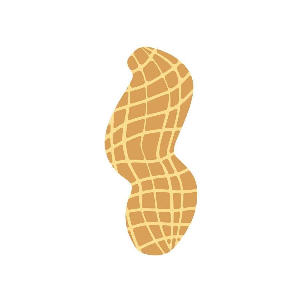 peanut flat design illustration isolated on white background. Superfood and vegan protein source concept. Perfect for dietary vegetarian guides and food packaging vector