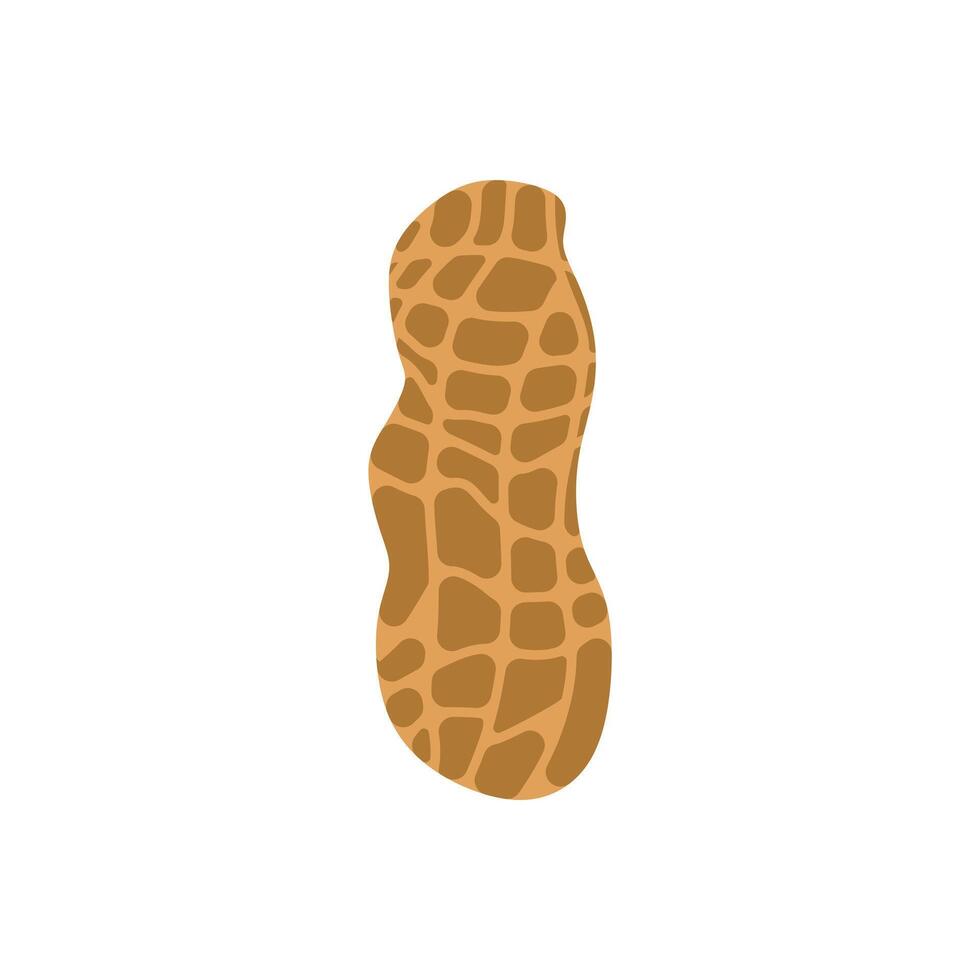 peanut flat design illustration isolated on white background. Superfood and vegan protein source concept. Perfect for dietary vegetarian guides and food packaging vector