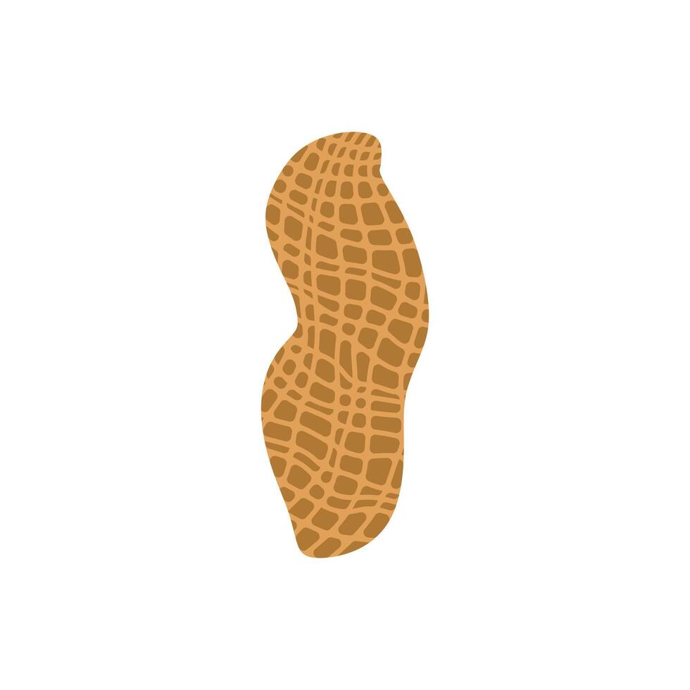 peanut flat design illustration isolated on white background. Superfood and vegan protein source concept. Perfect for dietary vegetarian guides and food packaging vector