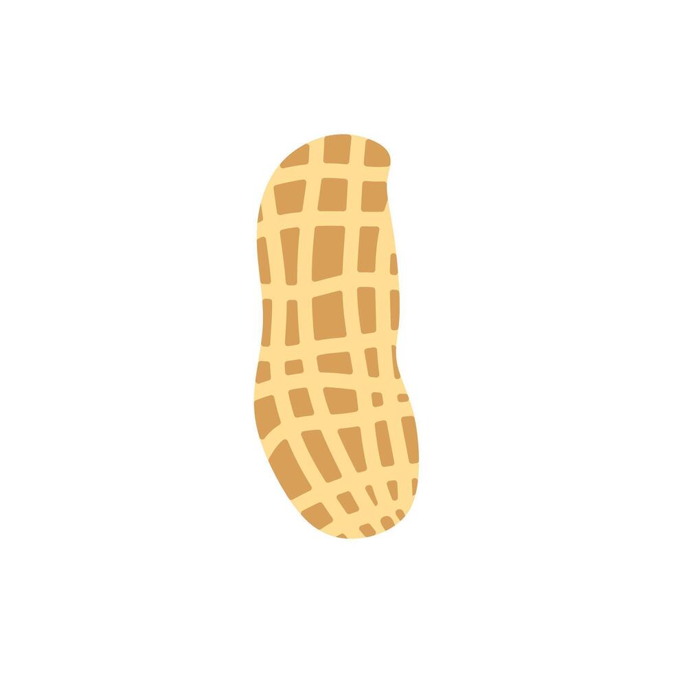 peanut flat design illustration isolated on white background. Superfood and vegan protein source concept. Perfect for dietary vegetarian guides and food packaging vector