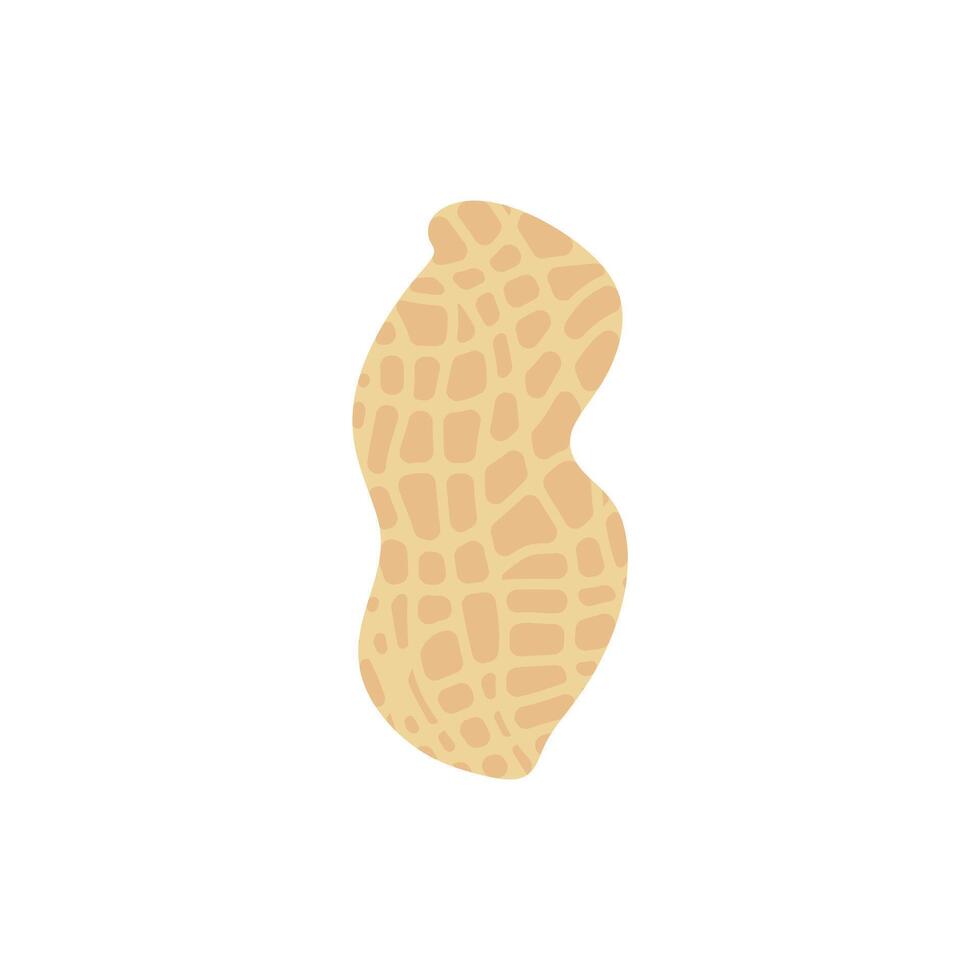 peanut flat design illustration isolated on white background. Superfood and vegan protein source concept. Perfect for dietary vegetarian guides and food packaging vector