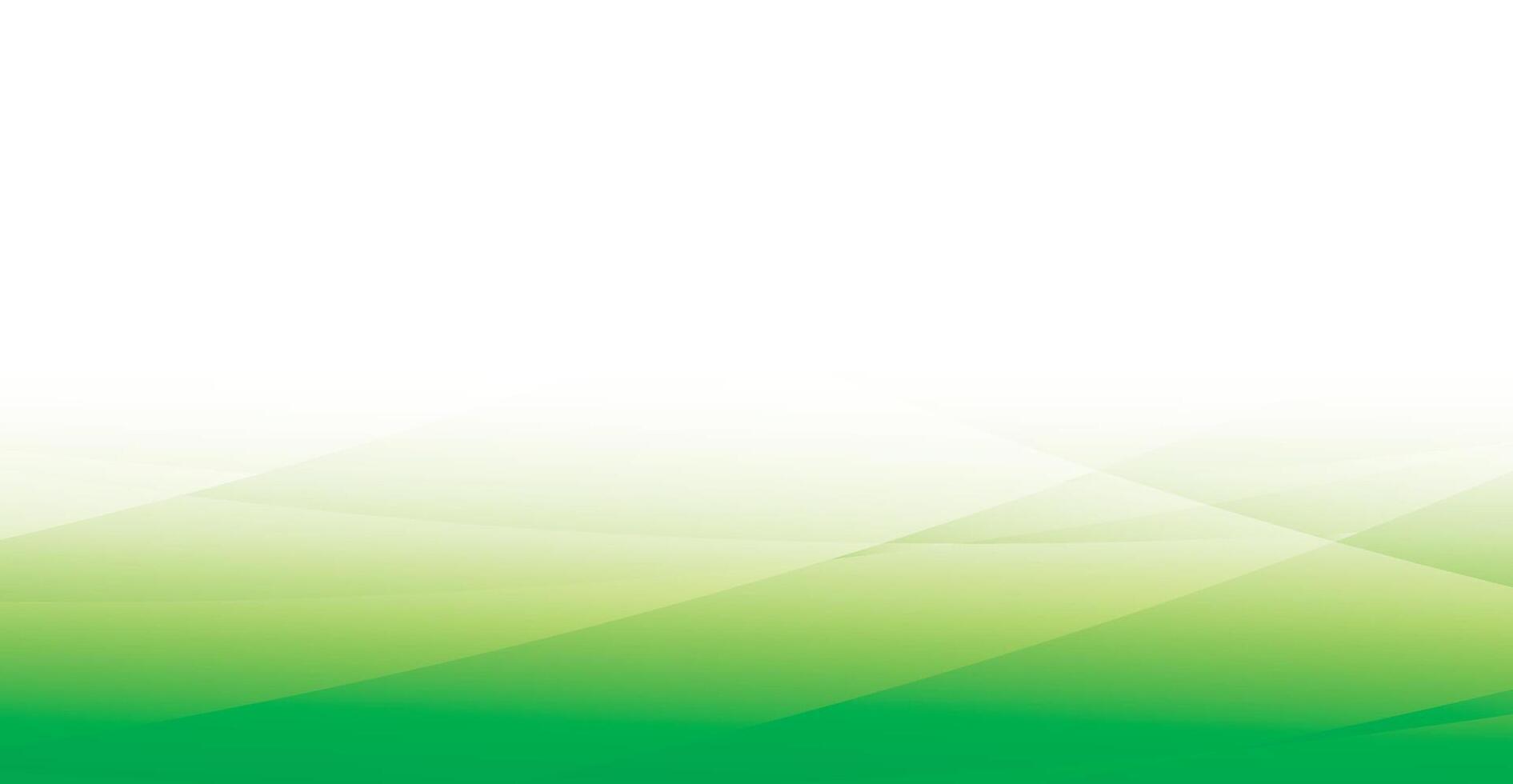 abstract green background with lines vector