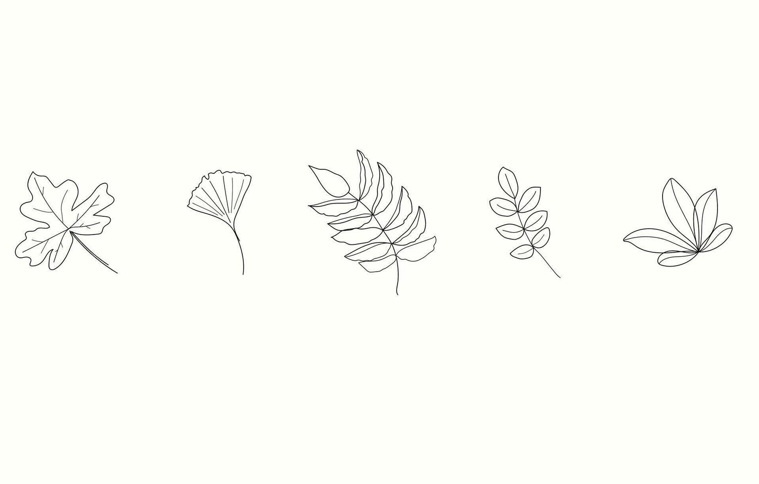 Set of simple leaves continuous line drawing art. Abstract minimal botanical art. Autumn or Summer botanical illustrations vector