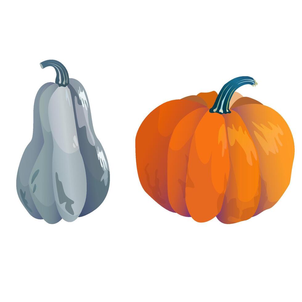 Set of harvest symbols - colorful pumpkins orange and grey, autumn cartoon illustration isolated on white background vector