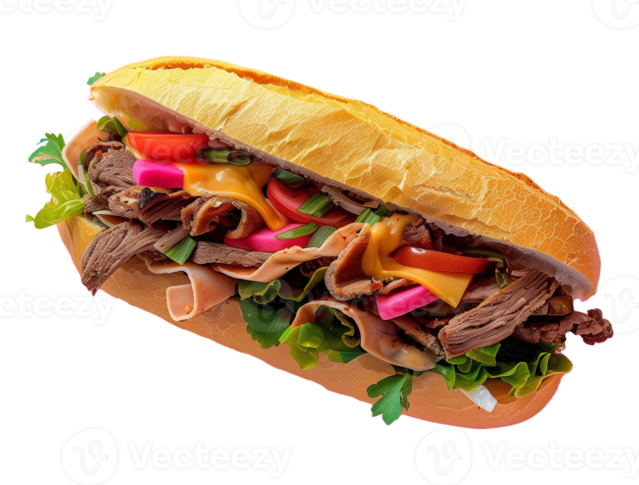 Delicious Arabic Cuisine Sandwich with Fresh Vegetables png