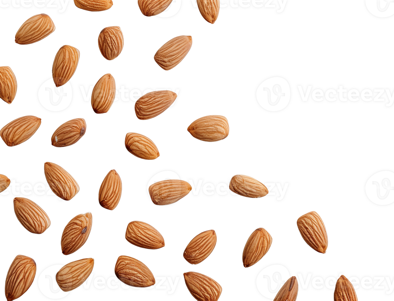 Scattered Almonds on Transparent Background Spreading Across Frame png