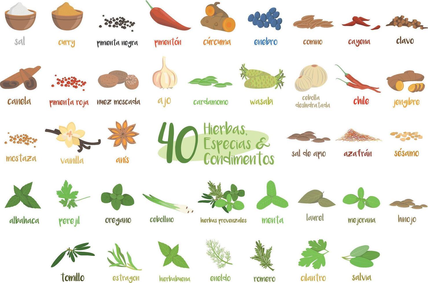 Set of 40 different culinary herbs, species and condiments in cartoon style. Spanish names. vector