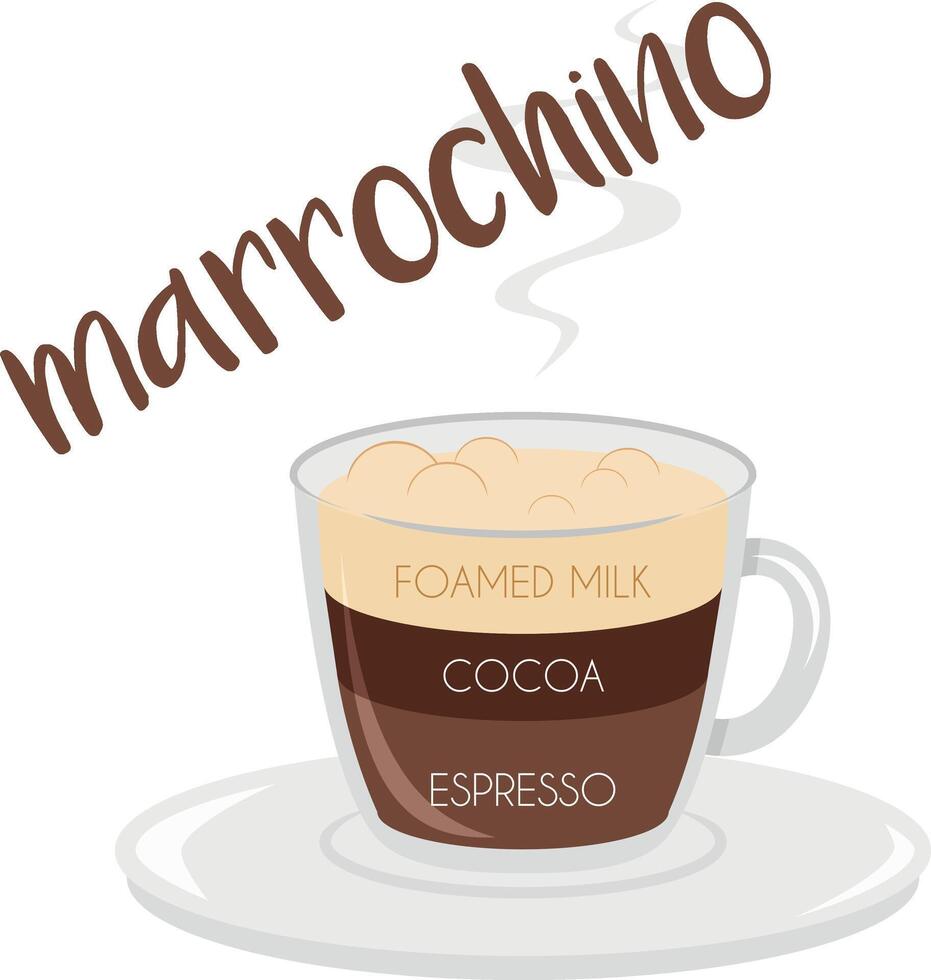 illustration of a Marrochino coffee cup icon with plate and name and its preparation and proportions. vector