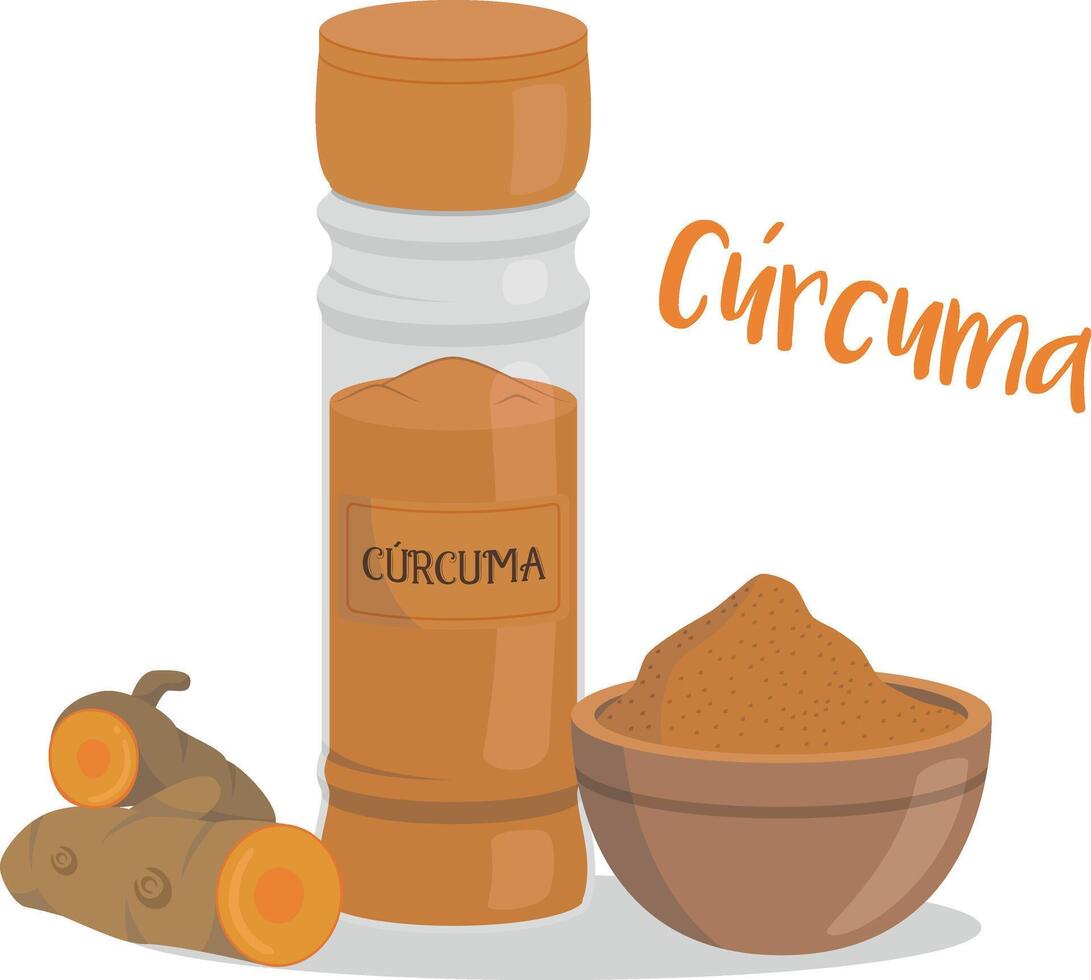 turmeric illustration isolated in cartoon style. Spanish name. Herbs and Species Series vector