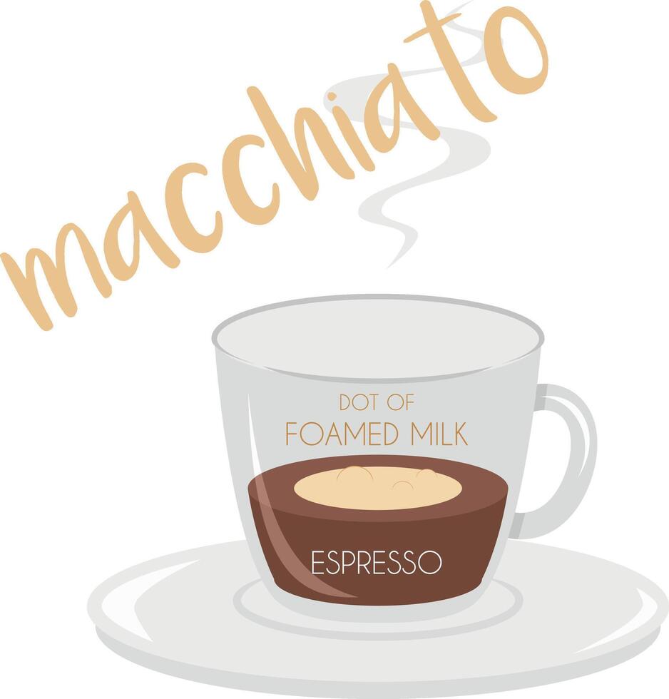 illustration of a Macchiato coffee cup icon with plate and name and its preparation and proportions. vector