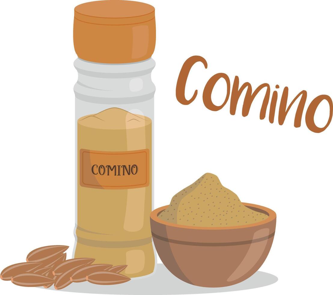 cumin illustration isolated in cartoon style. Spanish name. Herbs and Species Series vector