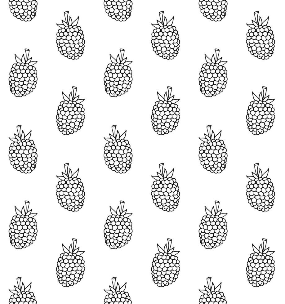 Seamless pattern of sketch blackberry vector
