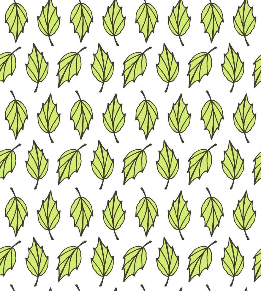 Seamless pattern of different leaves vector