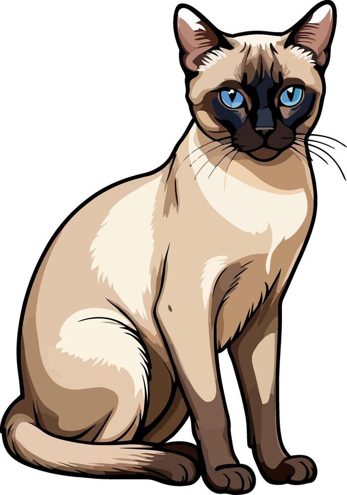 Siamese cat the Lovely Kitten with Blue Eyes of illustration isolated on a funny happy Domestic animal. vector