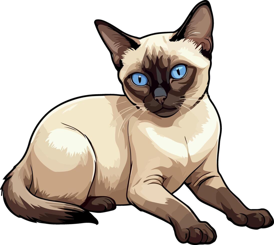 Siamese cat the Lovely Kitten with Blue Eyes of illustration isolated on a funny happy Domestic animal. vector