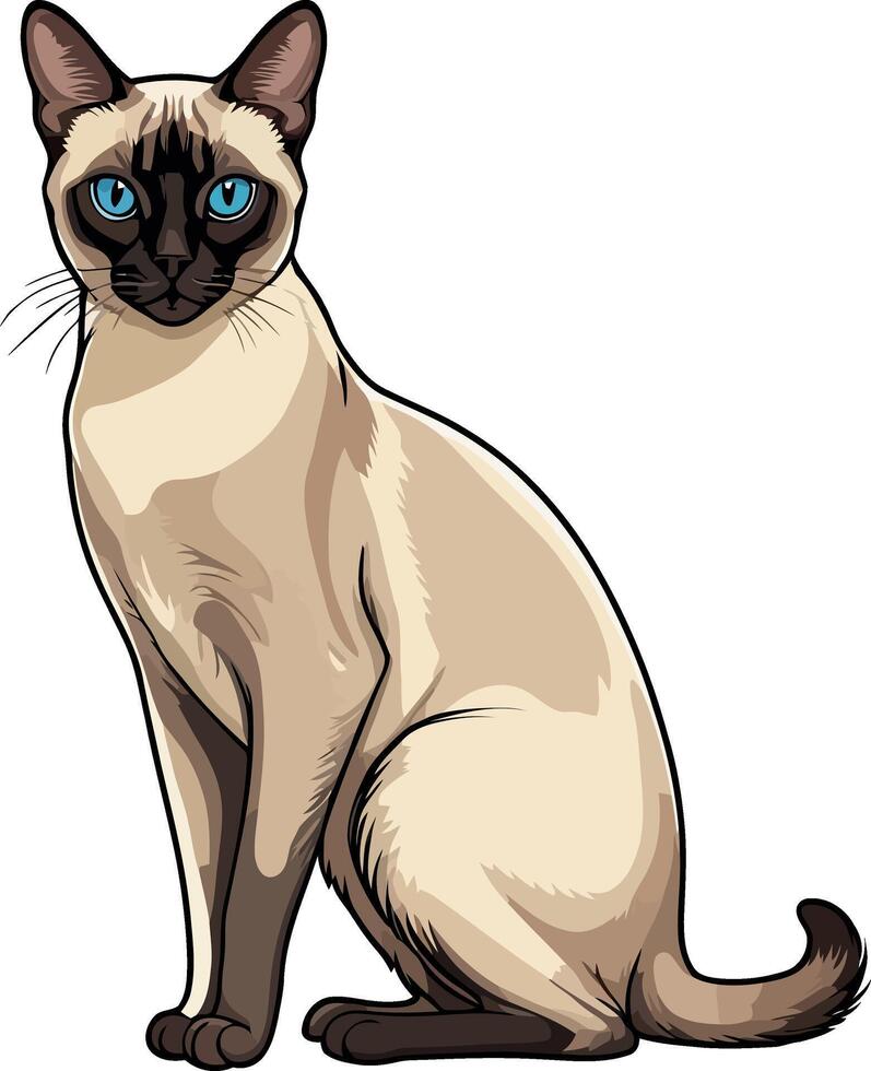 Siamese cat the Lovely Kitten with Blue Eyes of illustration isolated on a funny happy Domestic animal. vector