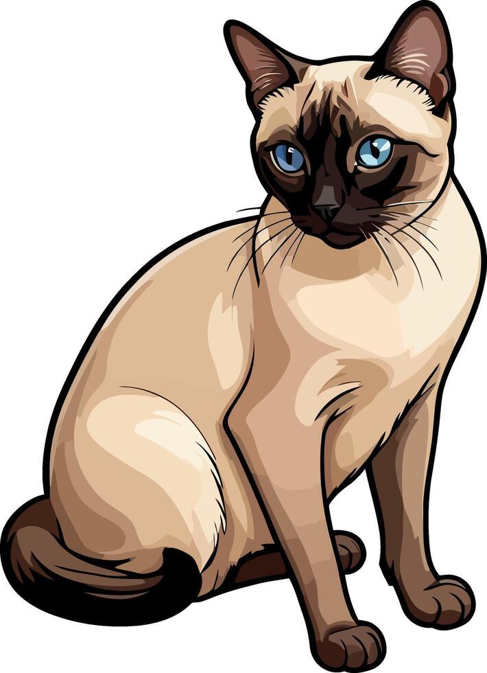 Siamese cat the Lovely Kitten with Blue Eyes of illustration isolated on a funny happy Domestic animal. vector
