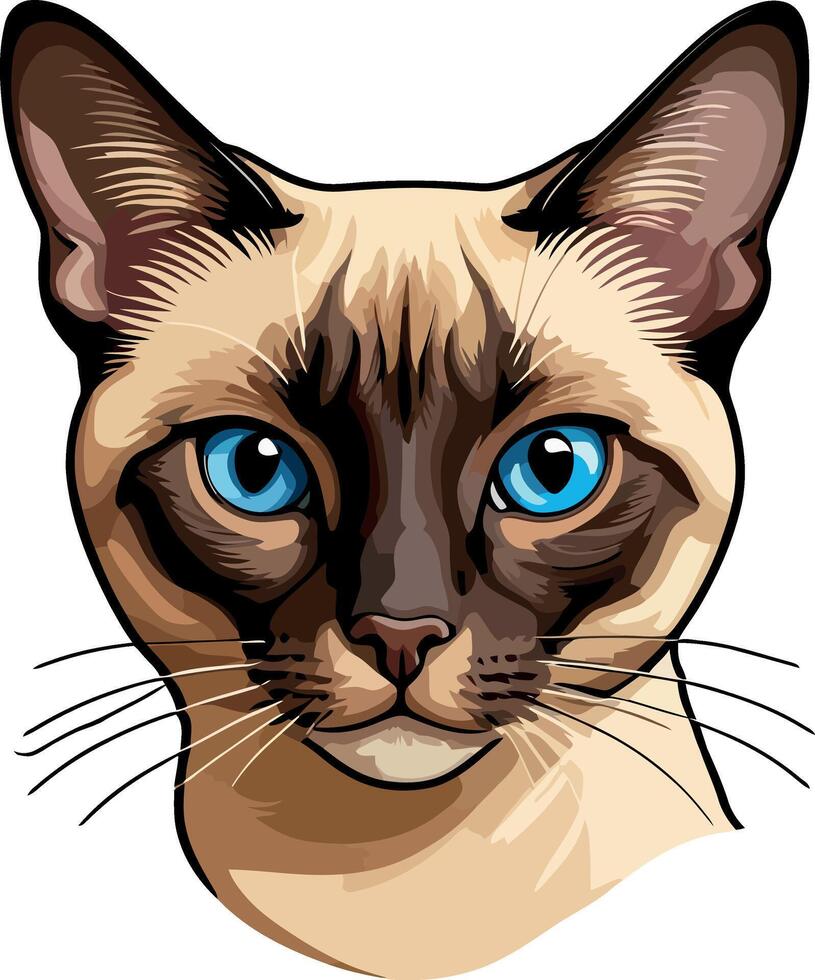 Siamese cat the Lovely Kitten with Blue Eyes of illustration isolated on a funny happy Domestic animal. vector