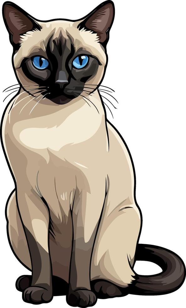 Siamese cat the Lovely Kitten with Blue Eyes of illustration isolated on a funny happy Domestic animal. vector