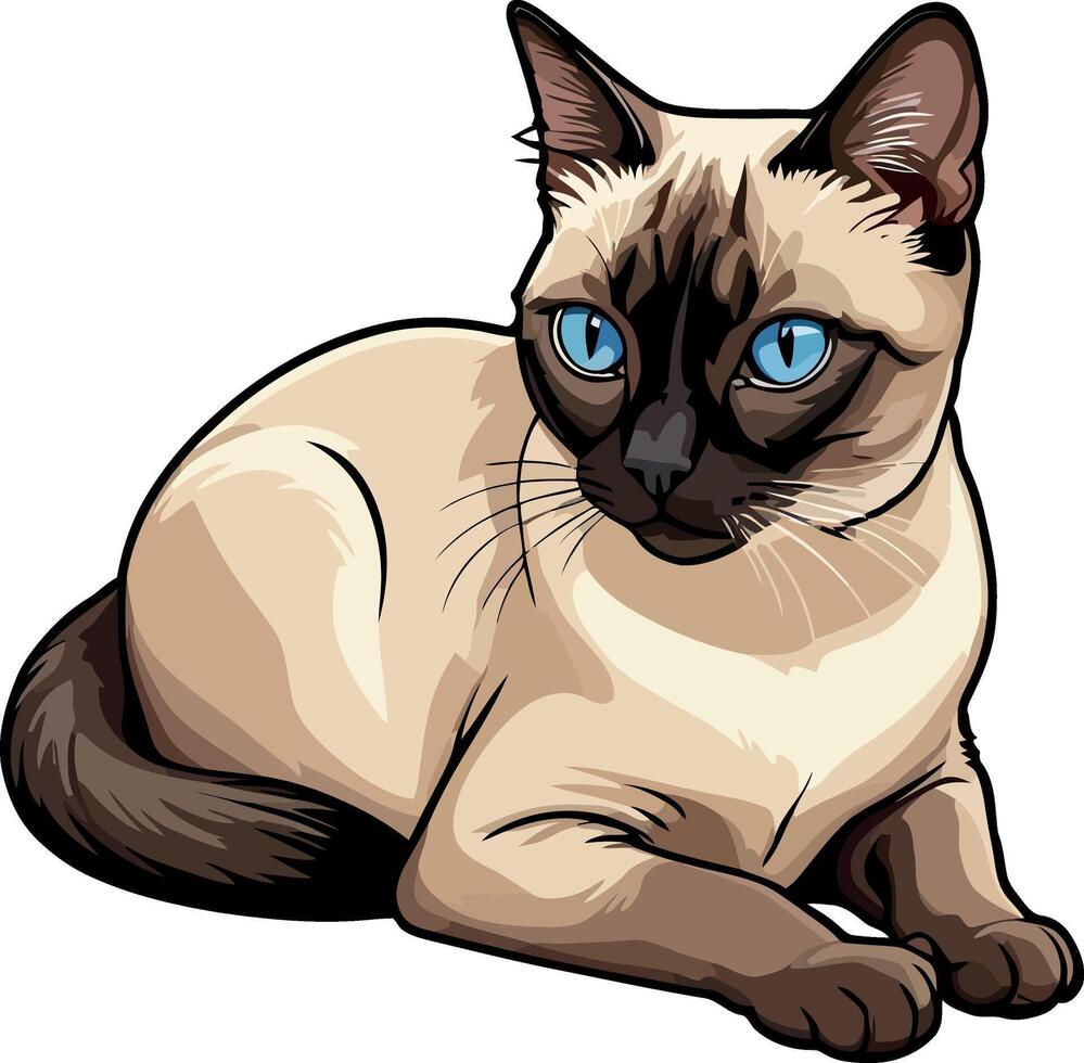 Siamese cat the Lovely Kitten with Blue Eyes of illustration isolated on a funny happy Domestic animal. vector