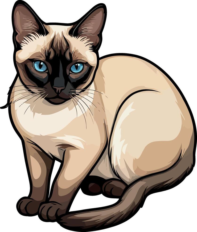 Siamese cat the Lovely Kitten with Blue Eyes of illustration isolated on a funny happy Domestic animal. vector