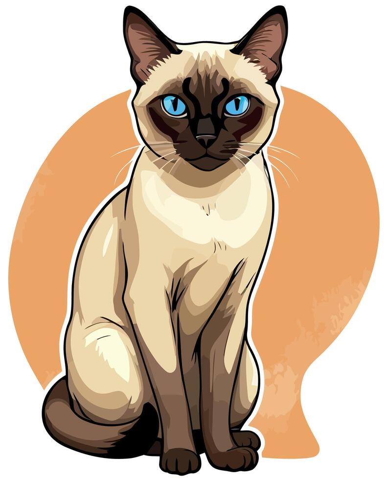 Siamese cat the Lovely Kitten with Blue Eyes of illustration isolated on a funny happy Domestic animal. vector