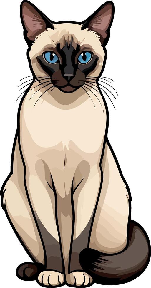 Siamese cat the Lovely Kitten with Blue Eyes of illustration isolated on a funny happy Domestic animal. vector
