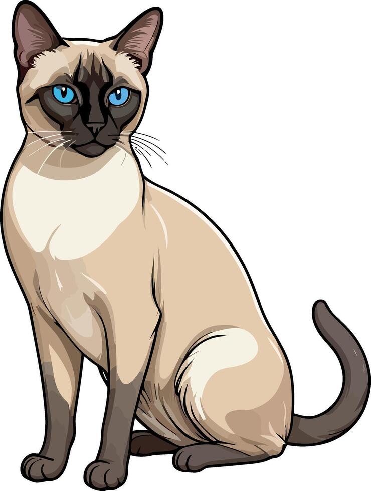 Siamese cat the Lovely Kitten with Blue Eyes of illustration isolated on a funny happy Domestic animal. vector