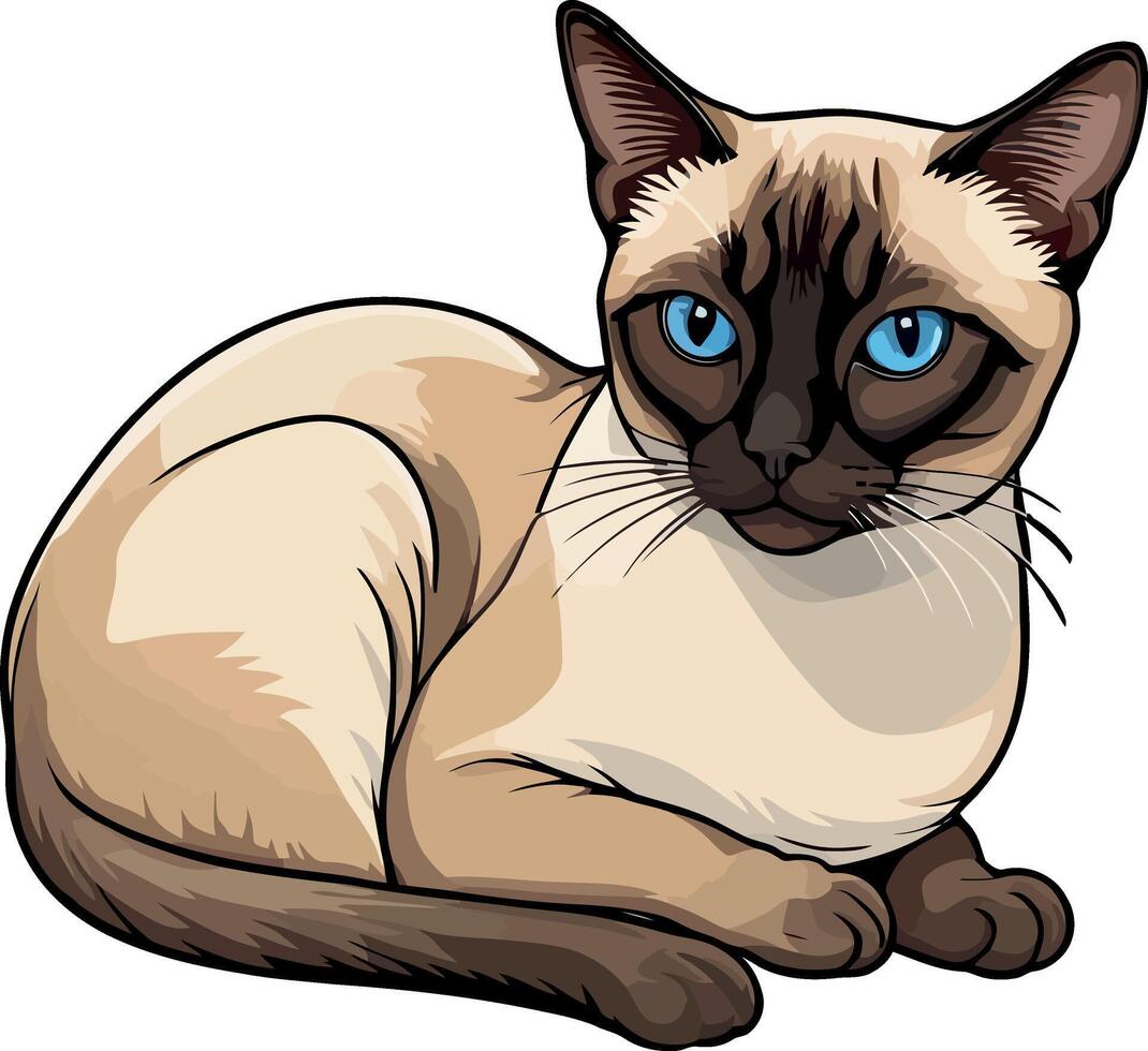 Siamese cat the Lovely Kitten with Blue Eyes of illustration isolated on a funny happy Domestic animal. vector