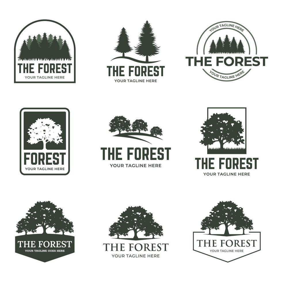 Forest badge set Isolated over white background. vector