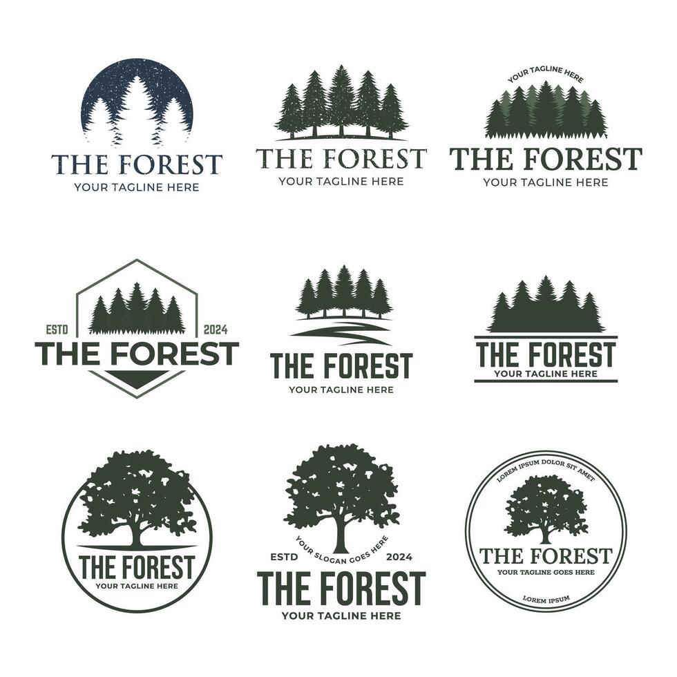 Forest badge set Isolated over white background. vector