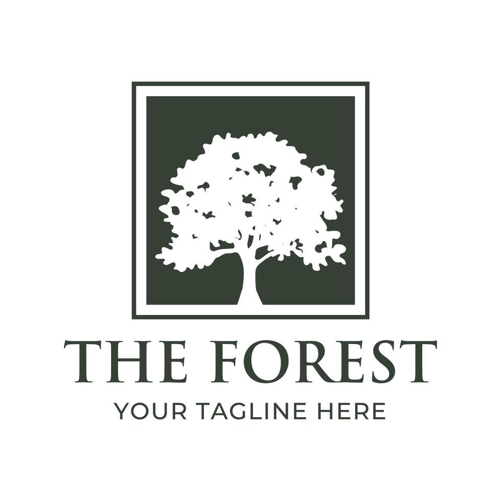 Tree logo design. Pine forest logo illustration vector