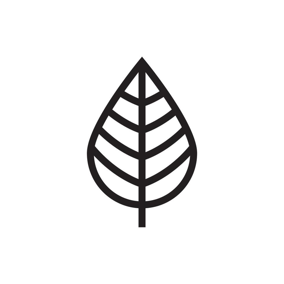 Leaf simple icon template. vector