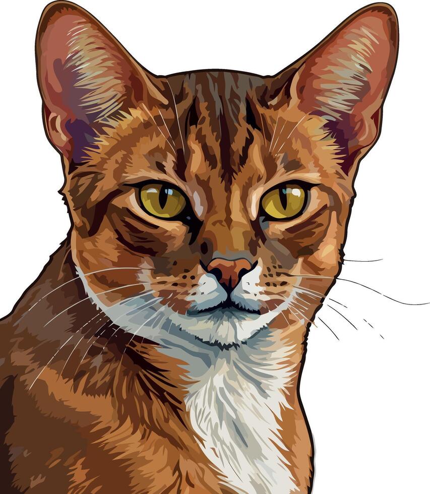 Graceful Abyssinian Cat Illustration vector