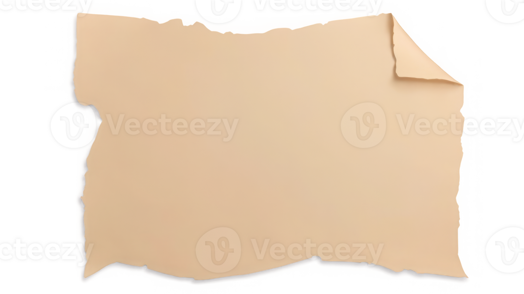 Torn Paper Mockup isolated transparent background png